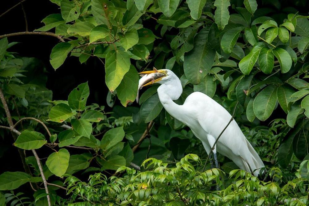 Tortugal Boutique River Lodge ริโอดุลเซ ภายนอก รูปภาพ