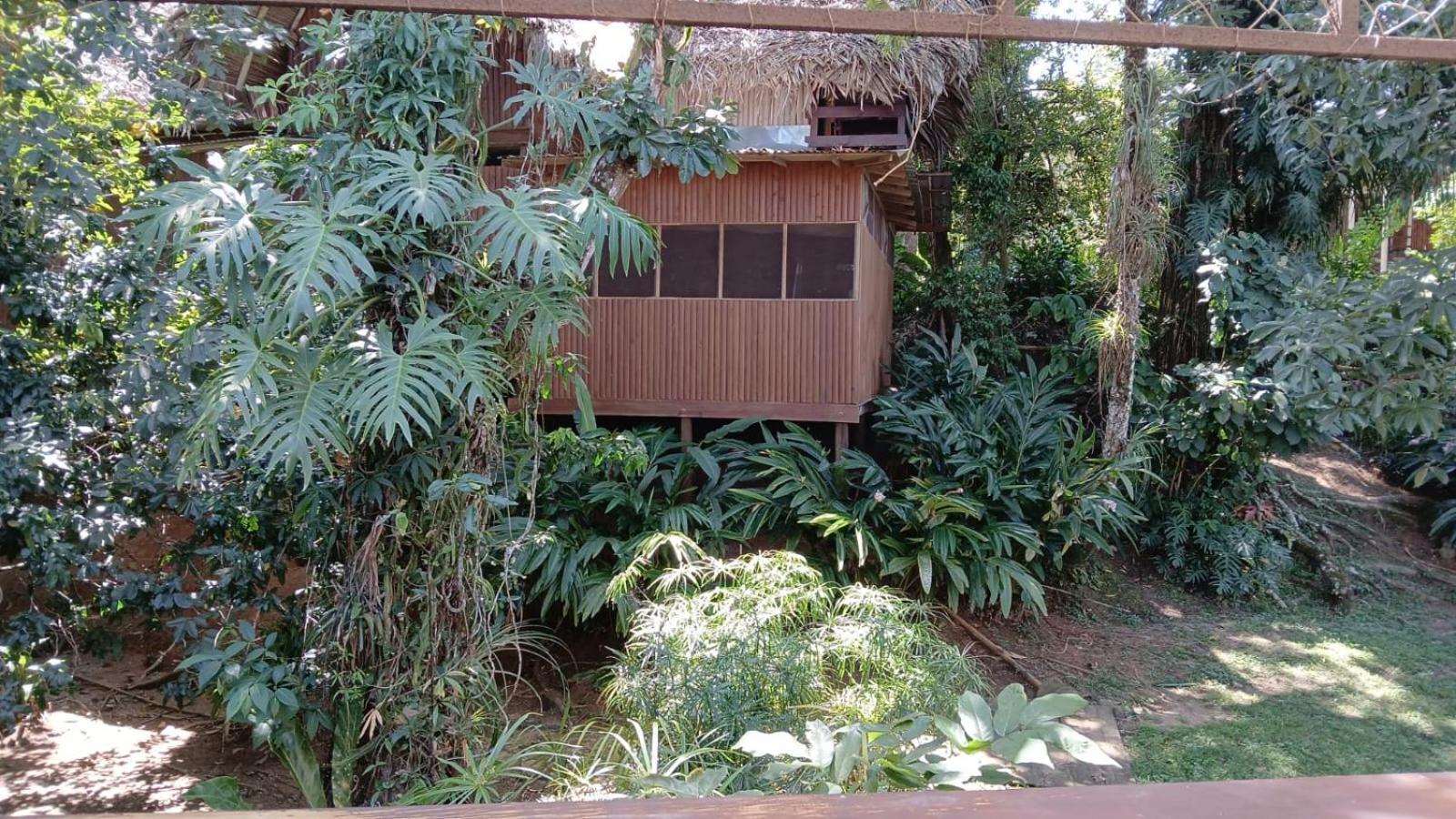 Tortugal Boutique River Lodge ริโอดุลเซ ภายนอก รูปภาพ